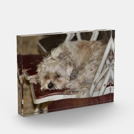 ルンプル フォトブロック (左)