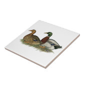 ルーアンのアヒル タイル (側面)