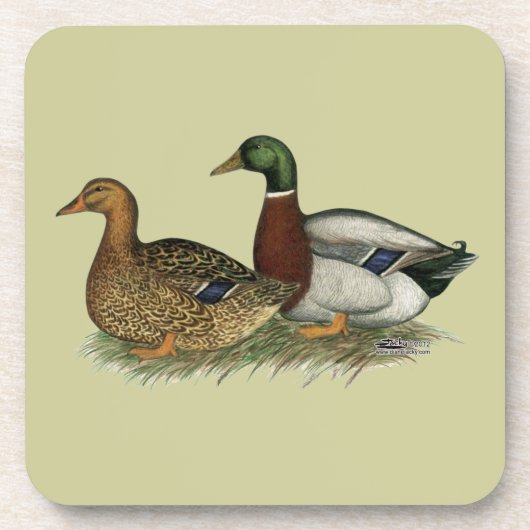 ルーアンダックス コースター (正面)