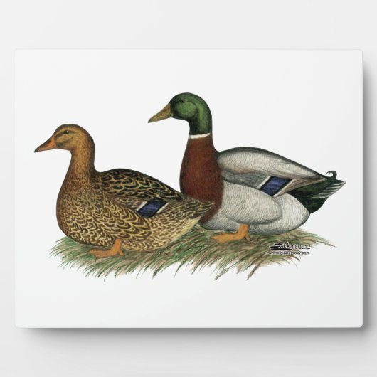 ルーアンダックス フォトプラーク (正面)