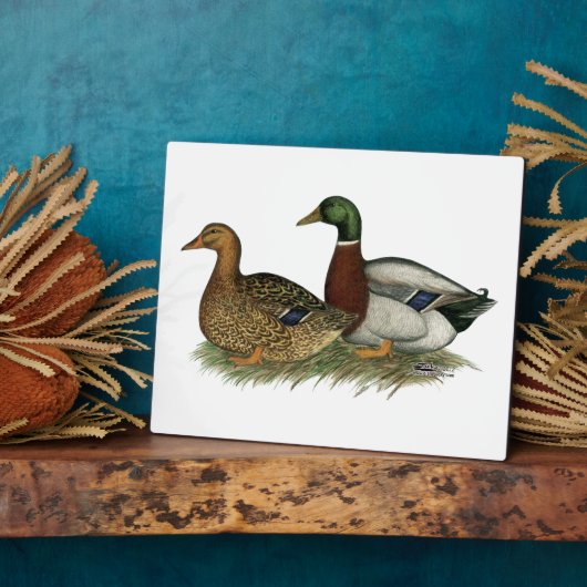 ルーアンダックス フォトプラーク (側面)