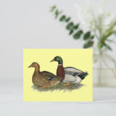 ルーアンダックス ポストカード (スタンド正面)