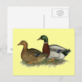 ルーアンダックス ポストカード (正面/裏面)