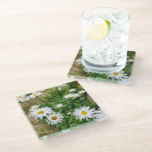 ルーカンセム開花 ガラスコースター (アングル)