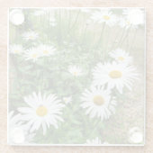 ルーカンセム開花 ガラスコースター (裏面)