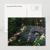 ルーカージョーブくもの巣葉書 ポストカード (正面/裏面)