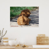 ルーキーは二度と振り返らない ポスター (キッチン)