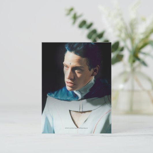 ルーク種族 ポストカード (スタンド正面)