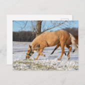 ルーゴスの持ち帰り用はがき ポストカード (正面/裏面)