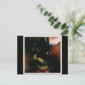 ルーシーのクローズアップ ポストカード (スタンド正面)