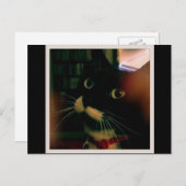 ルーシーのクローズアップ ポストカード (正面/裏面)