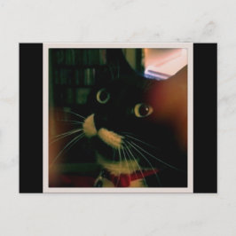 ルーシーのクローズアップ ポストカード