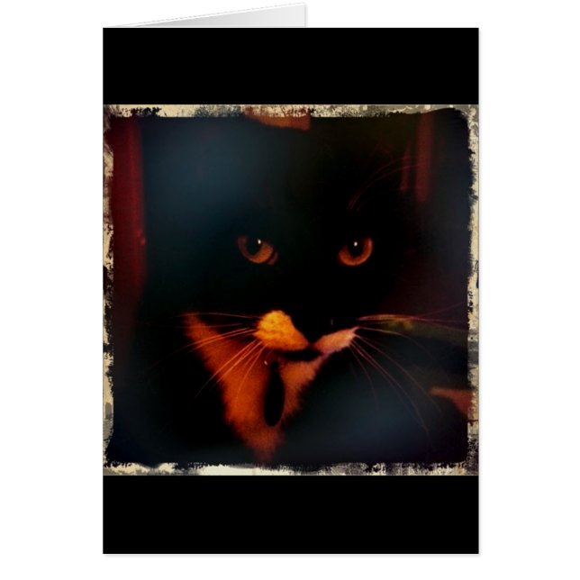 ルーシーのドラマチックな表情 (正面)