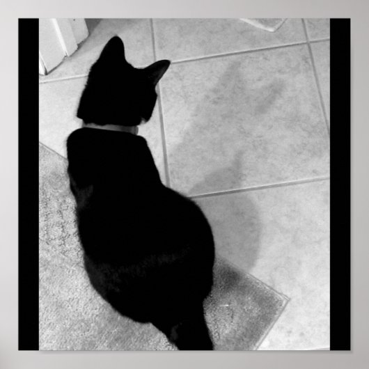 ルーシーの影B+W ポスター (正面)