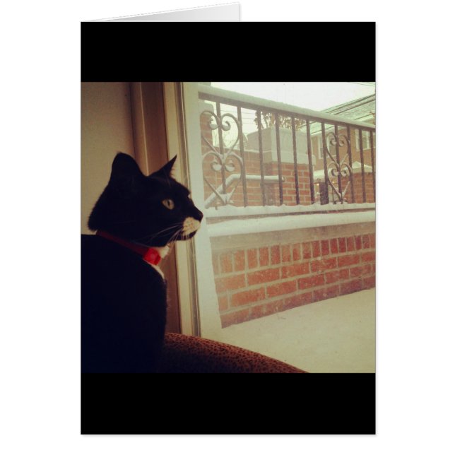 ルーシーの雪の日 (正面)