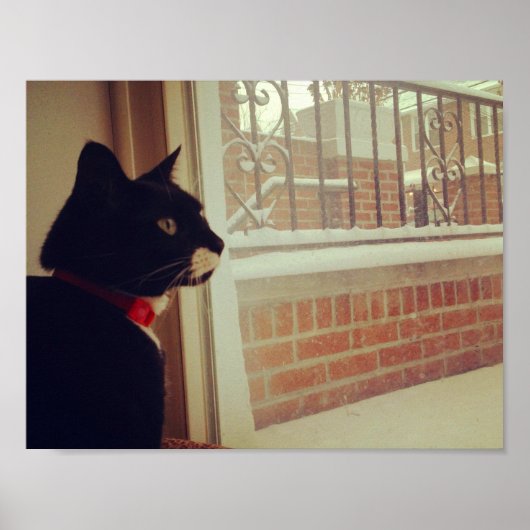 ルーシーの雪の日 ポスター (正面)