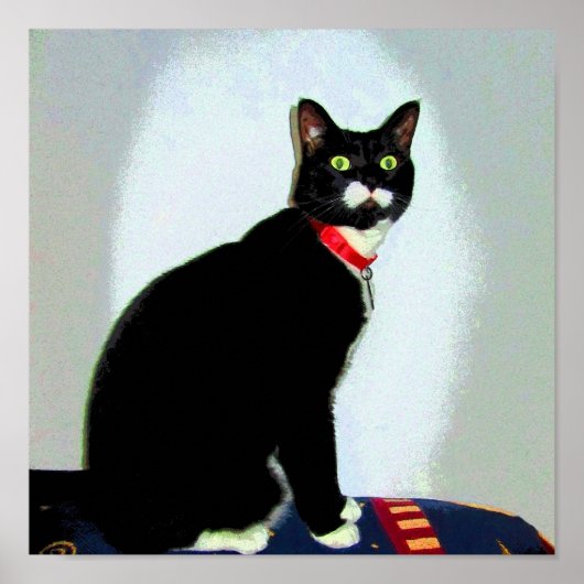 ルーシー像 ポスター (正面)