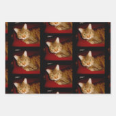 ルーシー子猫ラッピング紙シートセット ラッピングペーパーシート (正面3)
