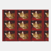 ルーシー子猫ラッピング紙シートセット ラッピングペーパーシート (正面)