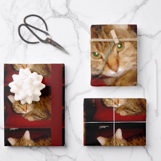 ルーシー子猫ラッピング紙シートセット ラッピングペーパーシート (正面)