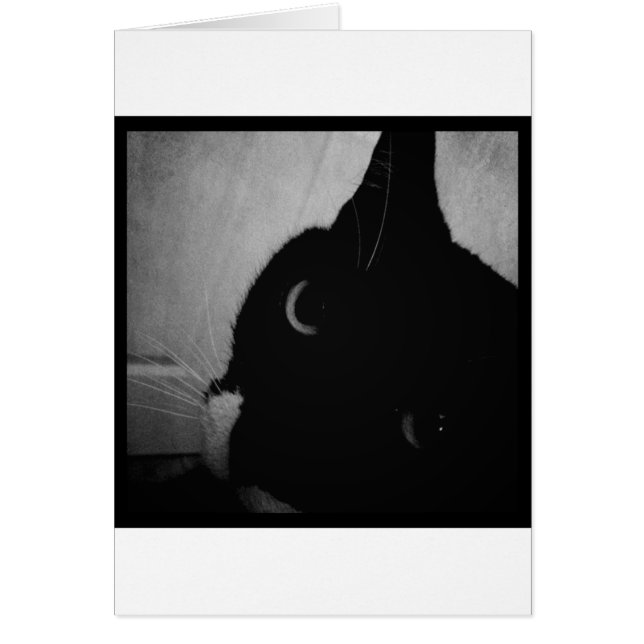 ルーシー熱狂するズ・クローズアップ (正面)