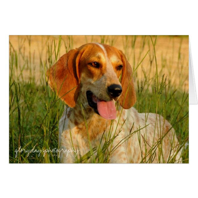 ルーシー (正面横)