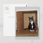 ルーシー・イン・ア・ボックス ポストカード (正面/裏面)