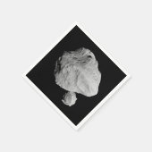 ルーシー・ミッション・ディンキネス連星小惑星 スタンダードカクテルナプキン (角)