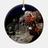 ルーシー・ミッション・ディンキネス連星小惑星 セラミックオーナメント (裏面)