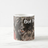 ルーシー"得られたパグか"。 マグ (中央)