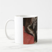 ルーシー"得られたパグか"。 マグ (左)