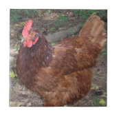 ルーシー – 赤い頭! タイル (正面)