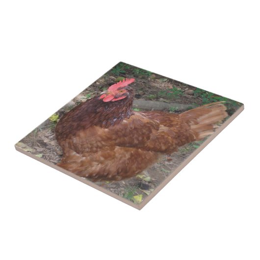 ルーシー – 赤い頭！ タイル (側面)