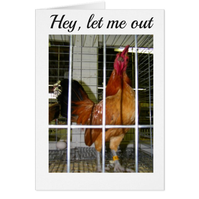 ルースターは彼の誕生日が君に言いたい！ (正面)