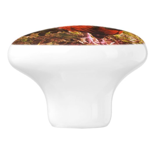 ルースタークロウイングファーム動物抽象芸術 セラミックノブ (側面)