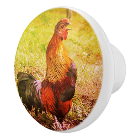 ルースタークロウイングファーム動物抽象芸術 セラミックノブ (右)