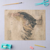 ルースターバード素朴レトロヴィンテージスケッチ 薄葉紙 (クラフト)