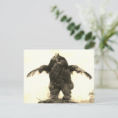 ルースターマン –  ポストカード (スタンド正面)