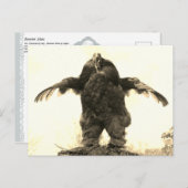 ルースターマン –  ポストカード (正面/裏面)