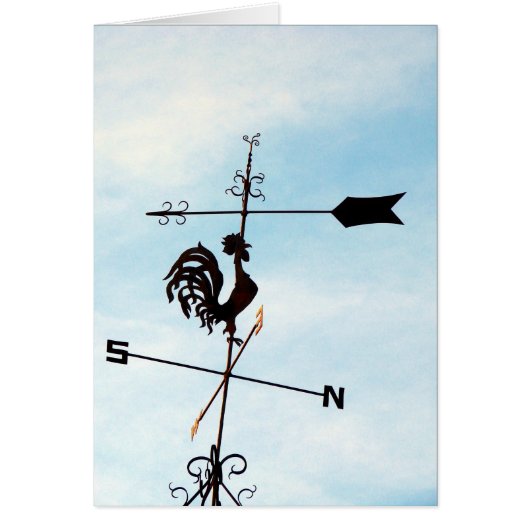 ルースターメタルアートウェザーヴァン (正面)