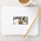 ルースター住所 シール (インサイチュ)