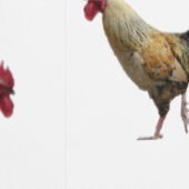 ルースター壁紙 壁紙 (縫い目)