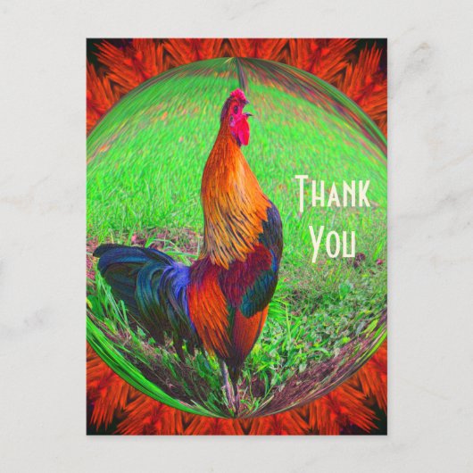 ルースター抽象芸術自然ありがとうはがき ポストカード (正面)