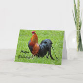 ルースター誕生日 カード (正面)