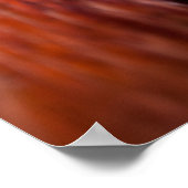 ルースター顔 ポスター (角)