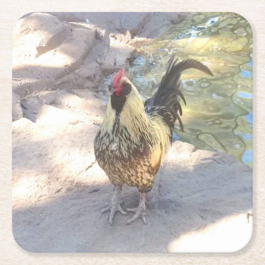 ルースター飲み物用コースター スクエアペーパーコースター (正面)