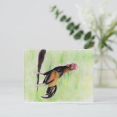 ルースター ポストカード (スタンド正面)