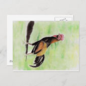 ルースター ポストカード (正面/裏面)