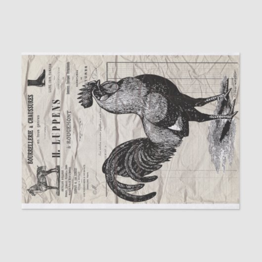 ルースター 薄葉紙 (正面)