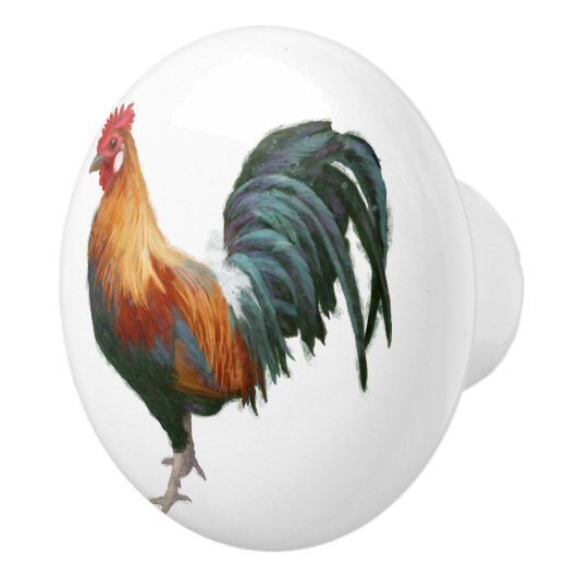 ルースタ色彩の鮮やかーカントリーファームハウスホワイトキッチン セラミックノブ (右)